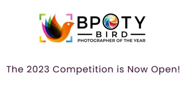Bird Photographer of the Year, il principale concorso di fotografia di uccelli. Scadenza 11 dicembre