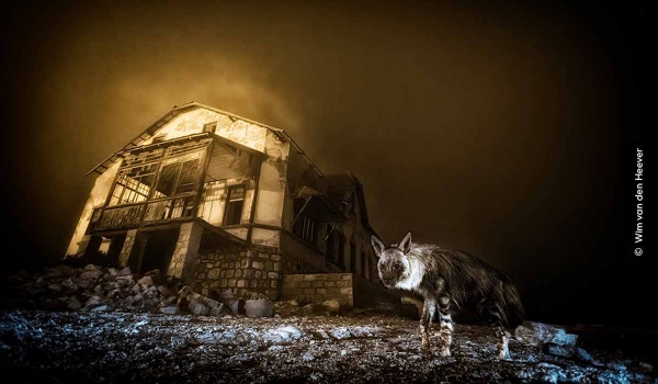 Wildlife Photographer of the Year 2025. Annunciati I vincitori della 61a edizione del premio di fotografia naturalistica del Natural History Museum di Londra