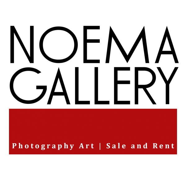 Noema Gallery. La galleria diretta da Maria Cristina de Zuccato e Aldo Sardoni si trasferisce in un nuovo e più ampio spazio in via Otranto 24