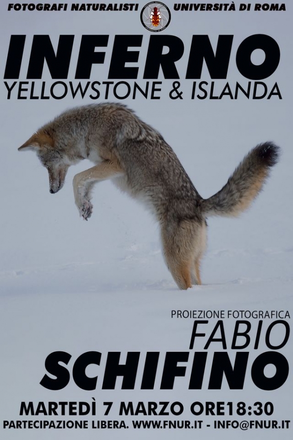 Inferno. Yellowstone &amp; Islanda. Martedì 7 marzo proiezione fotografica di Fabio Schifino per i Fotografi Naturalisti dell&#039;Università di Roma (FNUR)