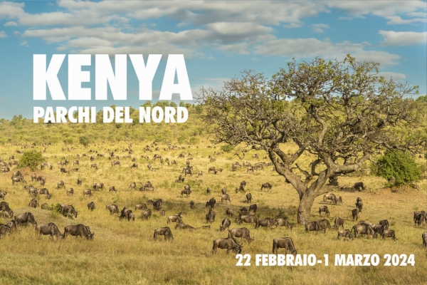 Kenya, parchi del nord. Dal 22 febbraio al 1° marzo 2024 un viaggio fotografico con Roberto Nistri: Samburu Game Reserve, Ol Pejeta Conservancy Area, Lake Nakuru National Park